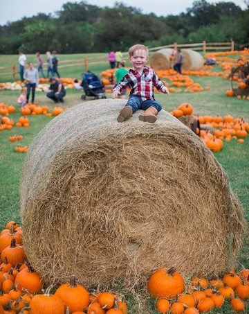 Barton Hill Farms-巴斯特罗普必去景点