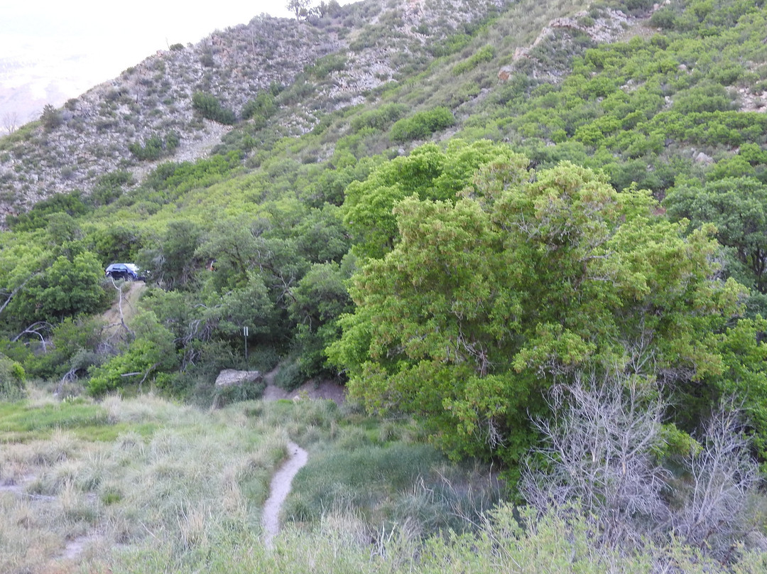 Hippy Hot Springs-格伦伍德温泉必去景点
