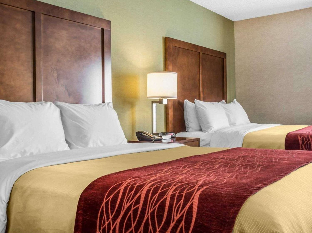 Comfort Inn Jamestown - Falconer主图