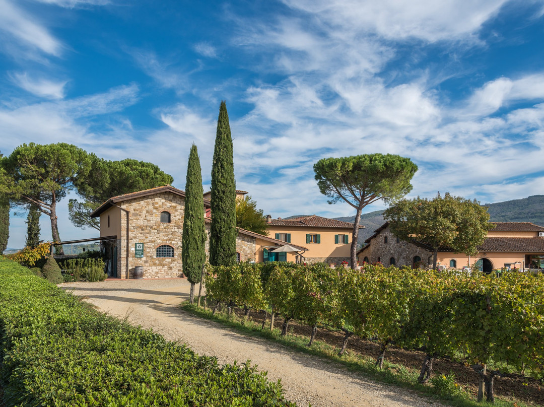 Viticcio