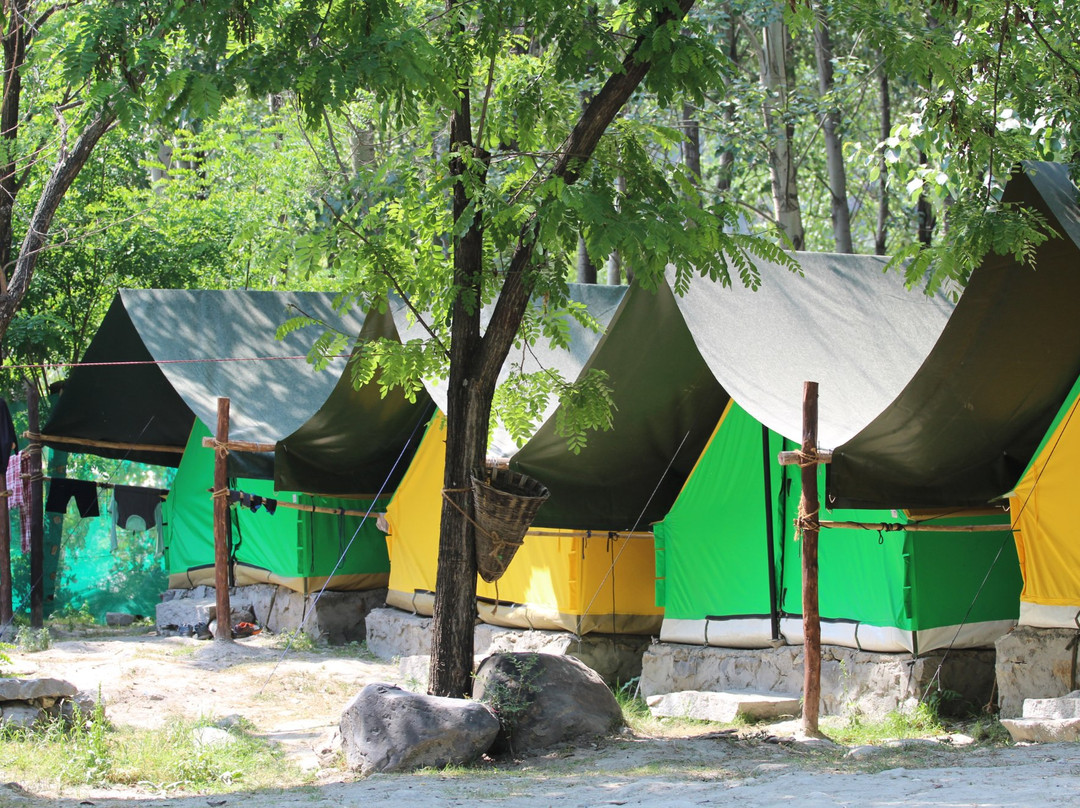 Camp Jungle Brooks