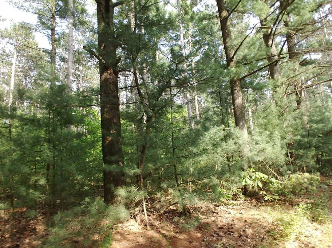 Wild 3L Ranch-Eagle必去景点