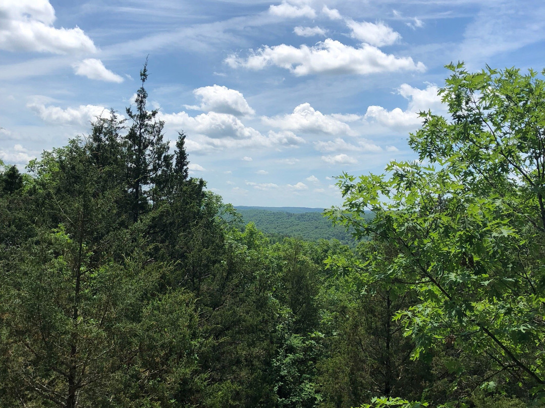 Mark Twain National Forest-罗拉必去景点