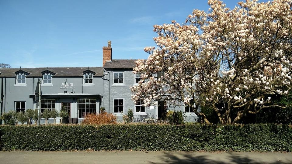 The Beehive Pub主图