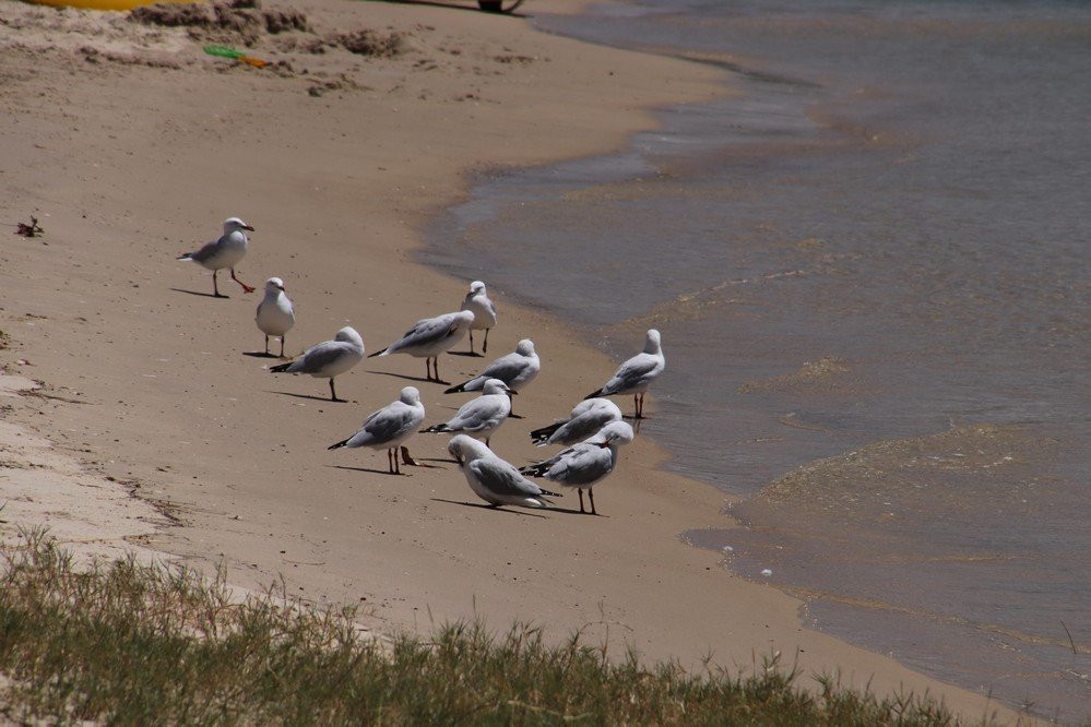 Kevin Gates Park-伯利角必去景点