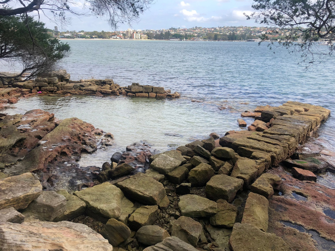 玫瑰湾至尼尔森公园漫步-悉尼必去景点