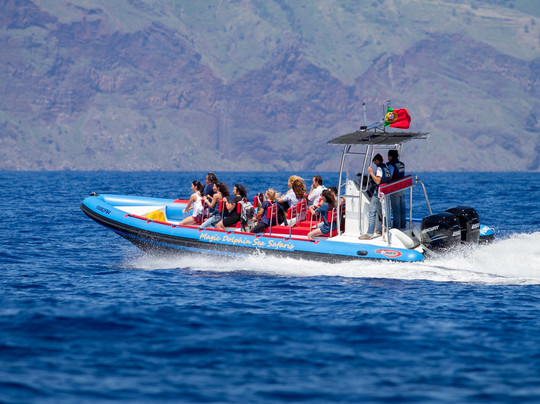 Magic Dolphin-沙尔必去景点