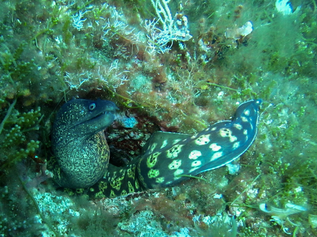 Travel Amalfi Day Tours-波西塔诺必去景点