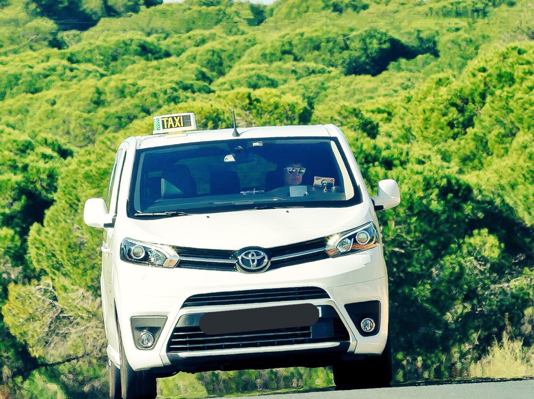 Lola Escudero Taxi-Cartaya必去景点