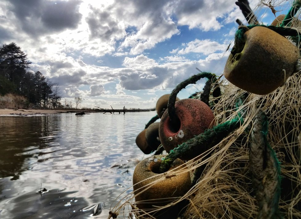 Hog Island Wildlife Management Area-Surry必去景点