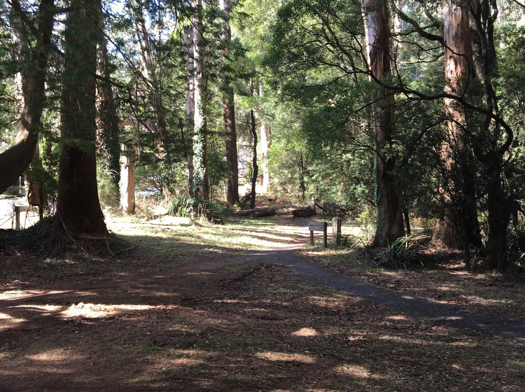 Sassafras旅游攻略图片