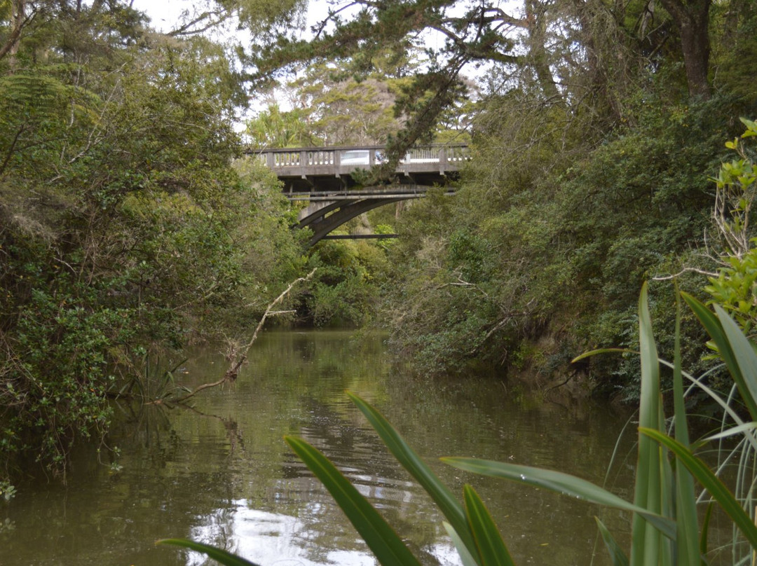 Gills Scenic Reserve-奥尔巴尼必去景点