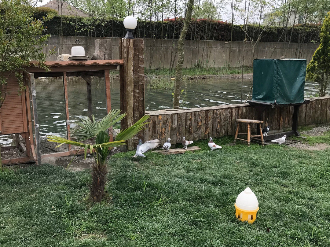 Ehlikeyf Cafe Canlibalik