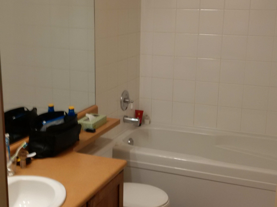 Panorama Mountain Resort主图