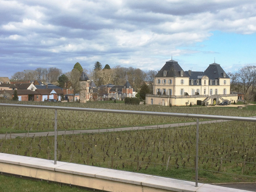 Domaine Château de Citeaux景点图片