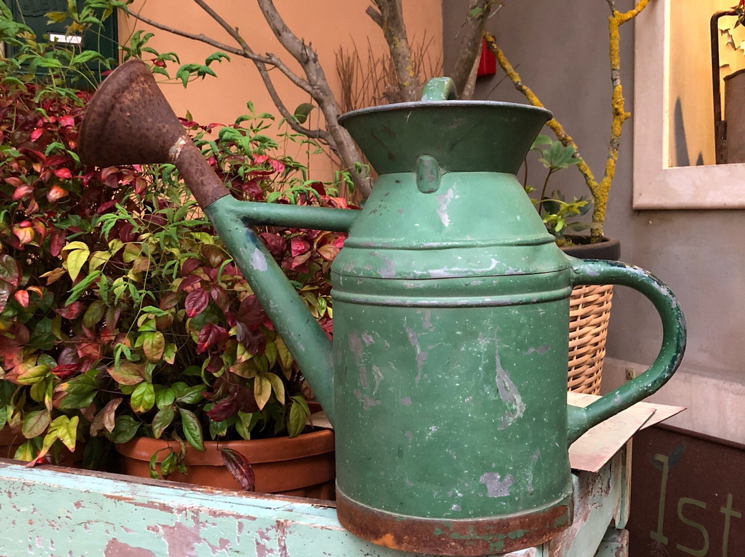 Silvana Olmo-蒙特卡蒂尼－泰尔梅必去景点