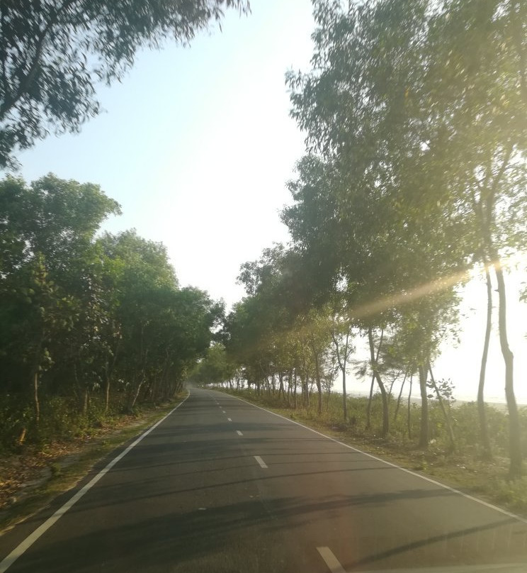 Marine Drive景点图片