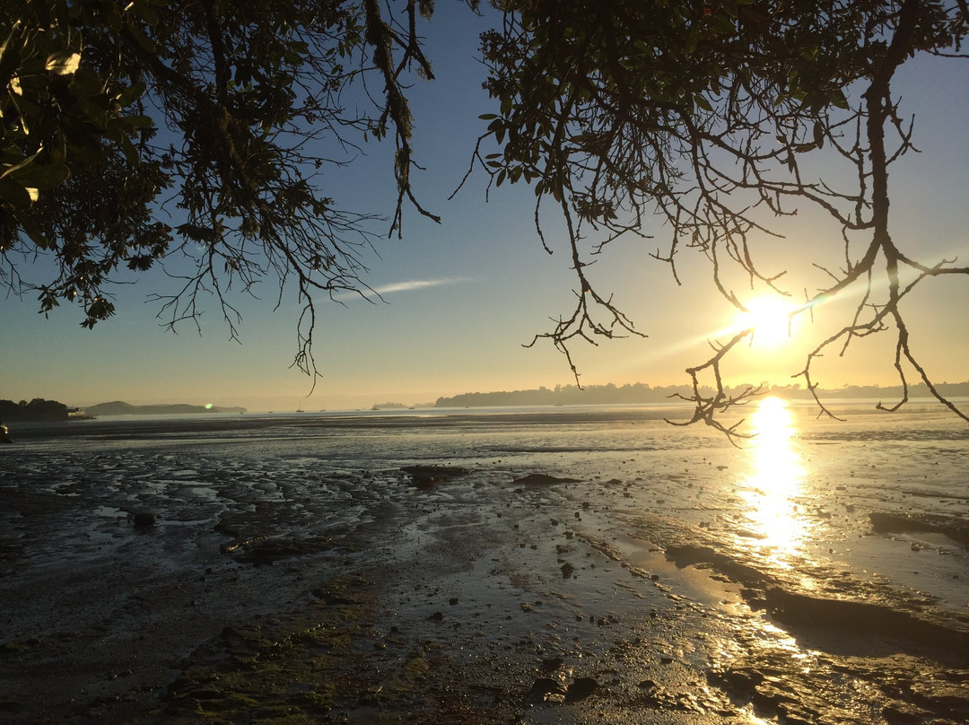 Beautiful Nature Tours Auckland-奥克兰中心地区必去景点