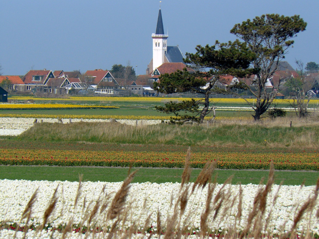 Texeltours-Oudeschild必去景点