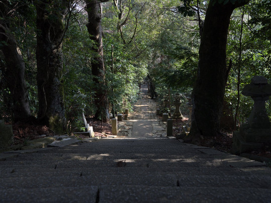 Yakura Hime Shrine-德岛市必去景点