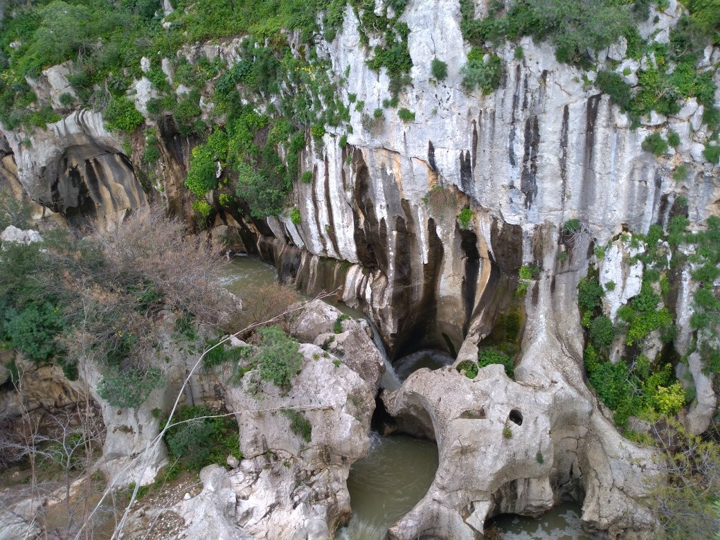 Riserva Naturale Orientata Bosco della Ficuzza景点图片