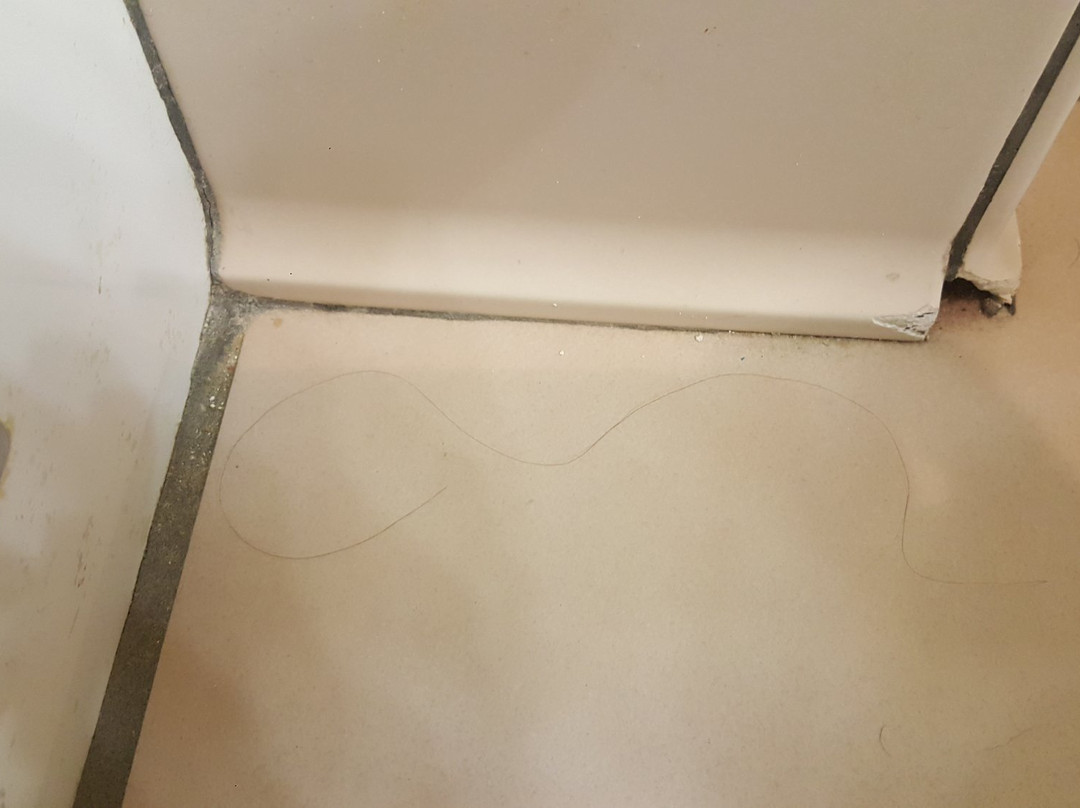 Country Inn & Suites by Radisson, Green Bay, WI主图