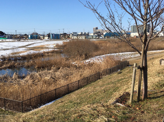 Ohorigawa Mizube Park-流山市必去景点