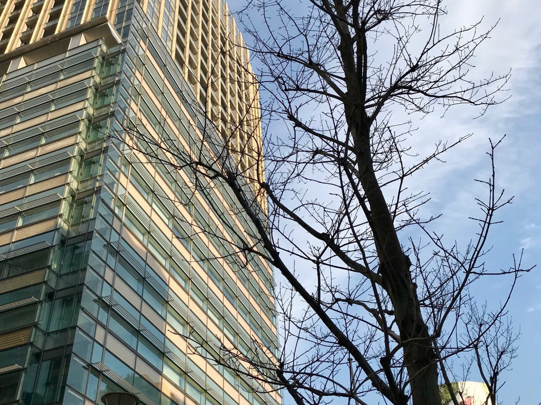 东京中城景点图片