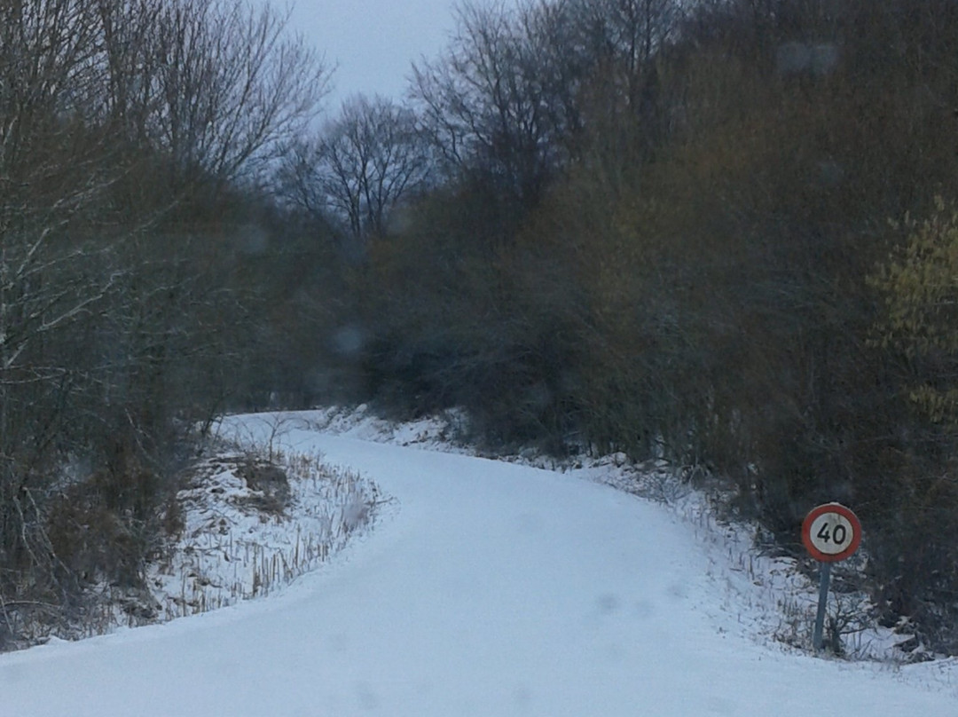 Gran Turismo Rioja-拉瓜迪亚必去景点
