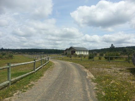 Pa Harakeke Chalets主图