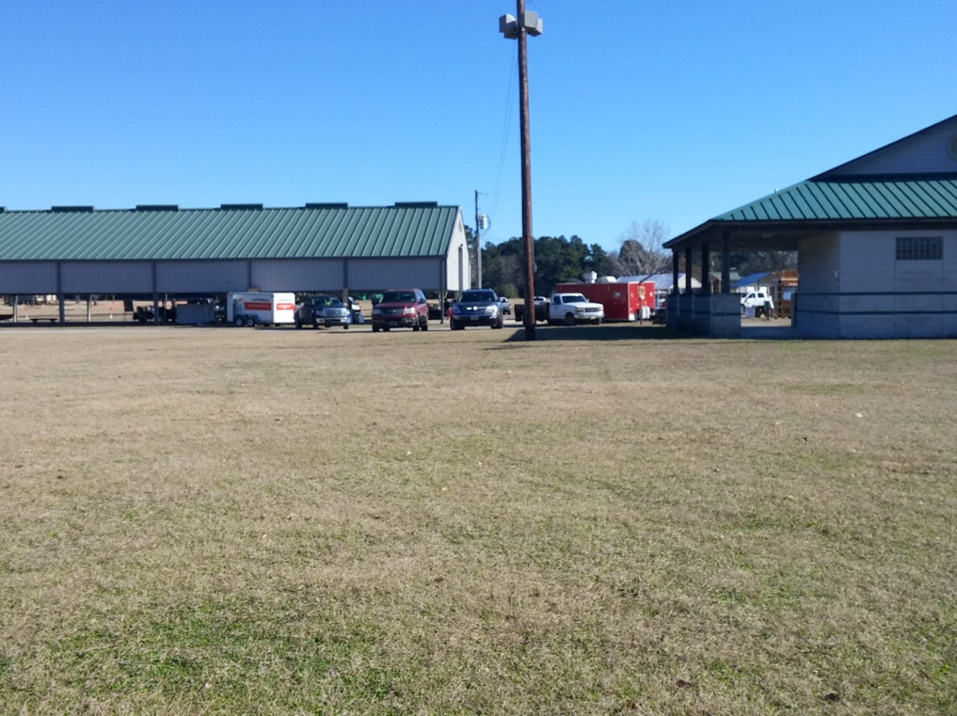 Pedigo Park-利文斯顿必去景点