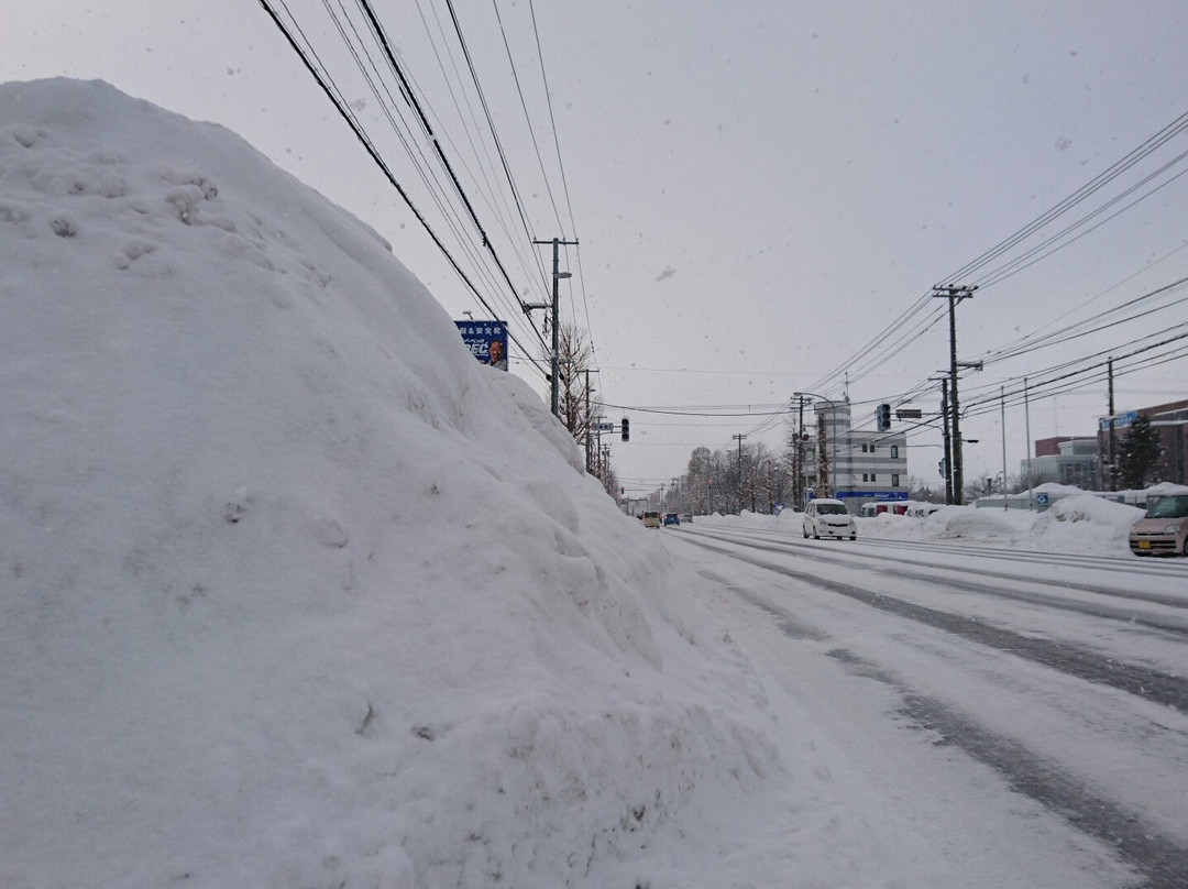 Iwamizawa Hotel 5主图