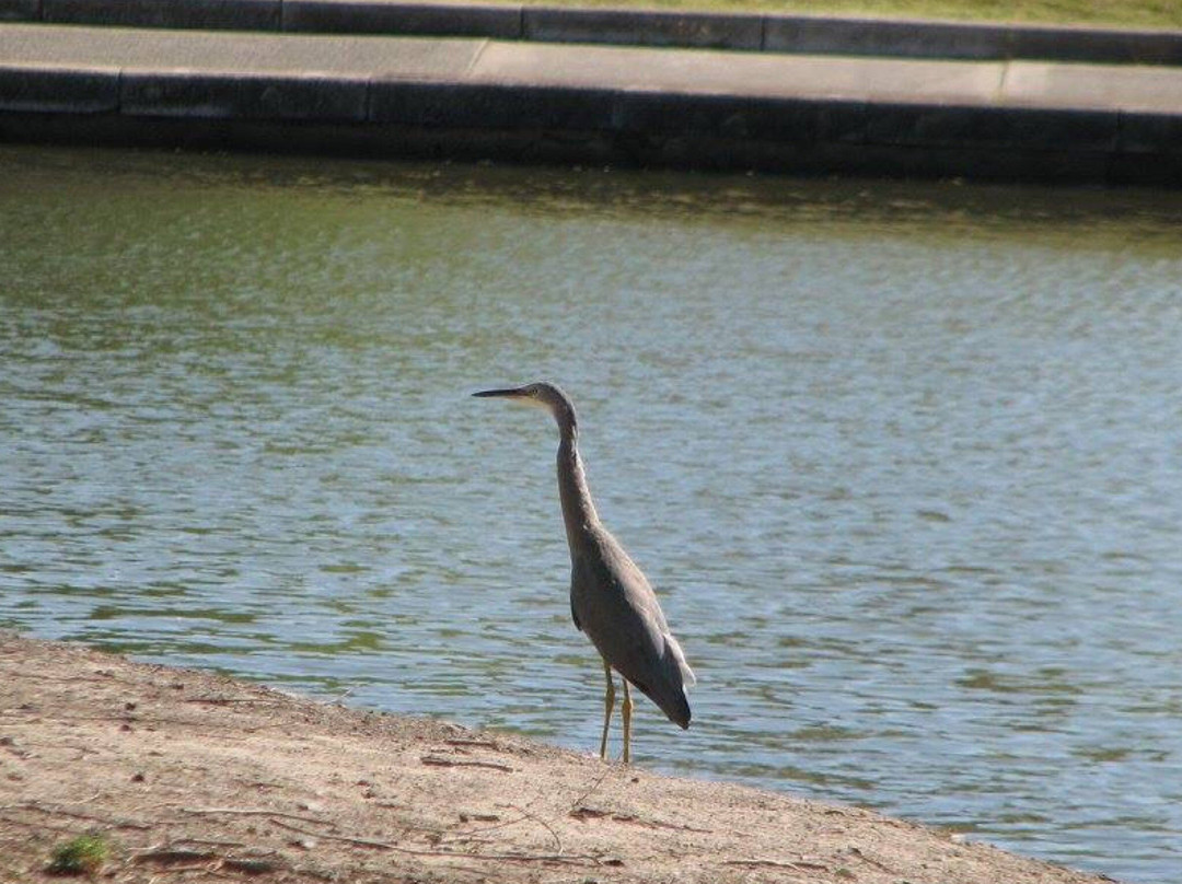 Hendersons Creek Wetlands-South Morang必去景点