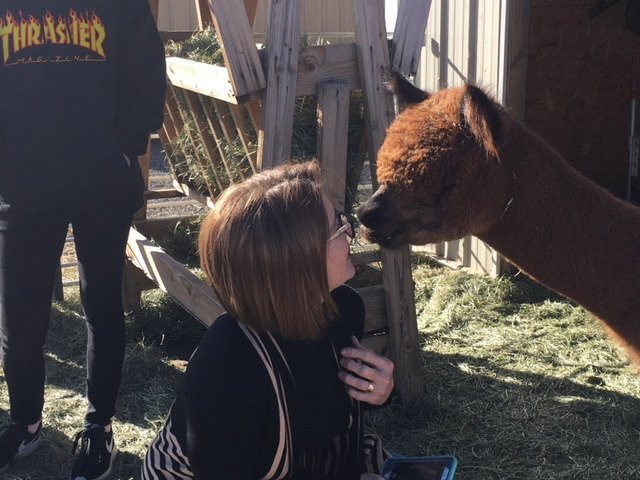 Wide Sky Ranch-圣菲必去景点