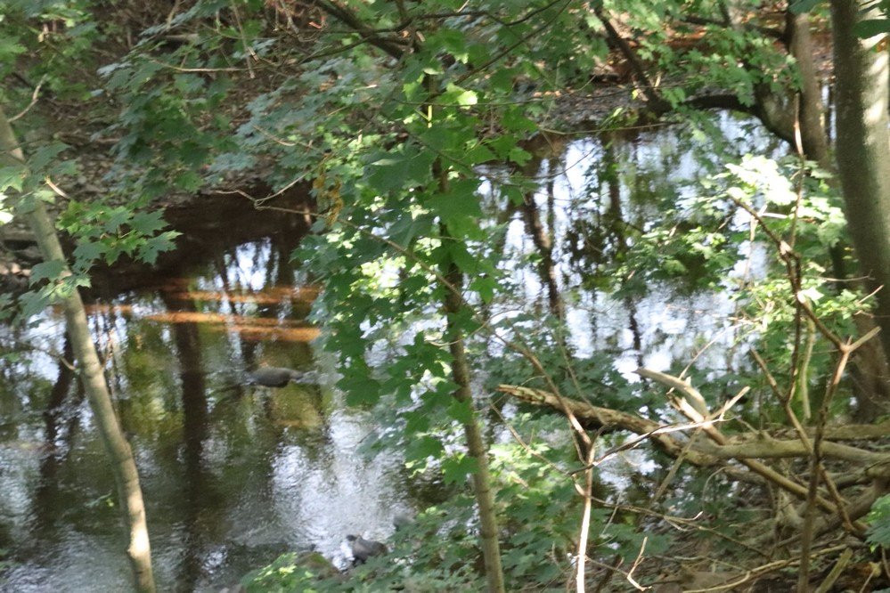 Cairn Park-安蒂岗尼希必去景点