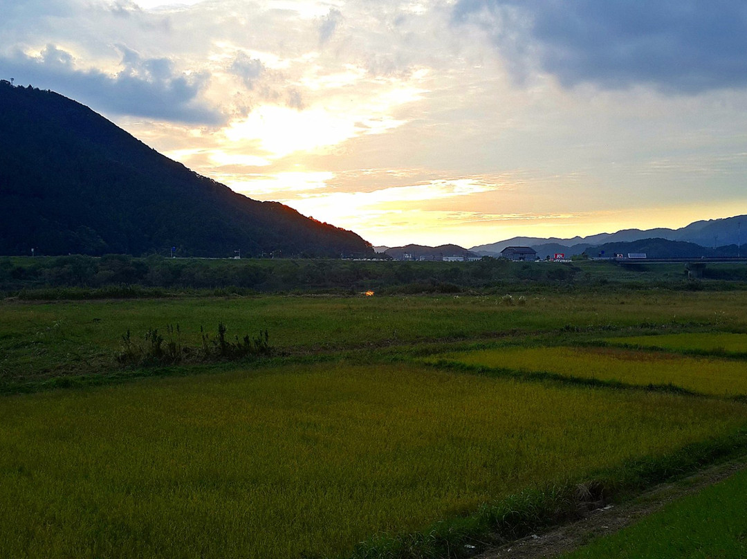 Shimanto City Tourism Association-四万十市必去景点