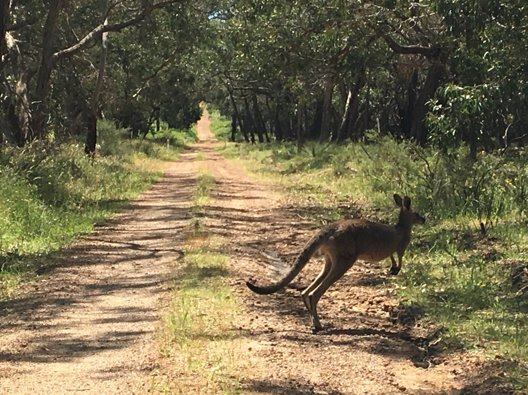 Dundas Range Scenic Reserve-Cavendish必去景点
