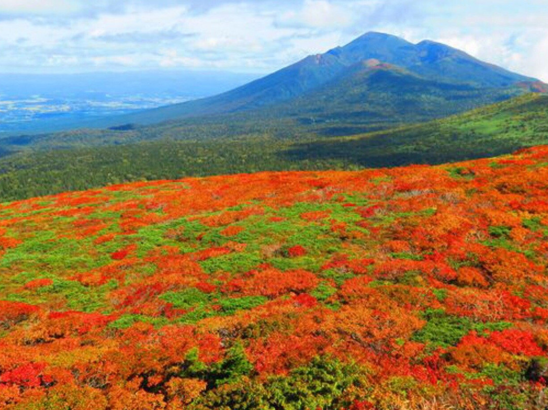 Tsunagi Onsen-盛冈市必去景点