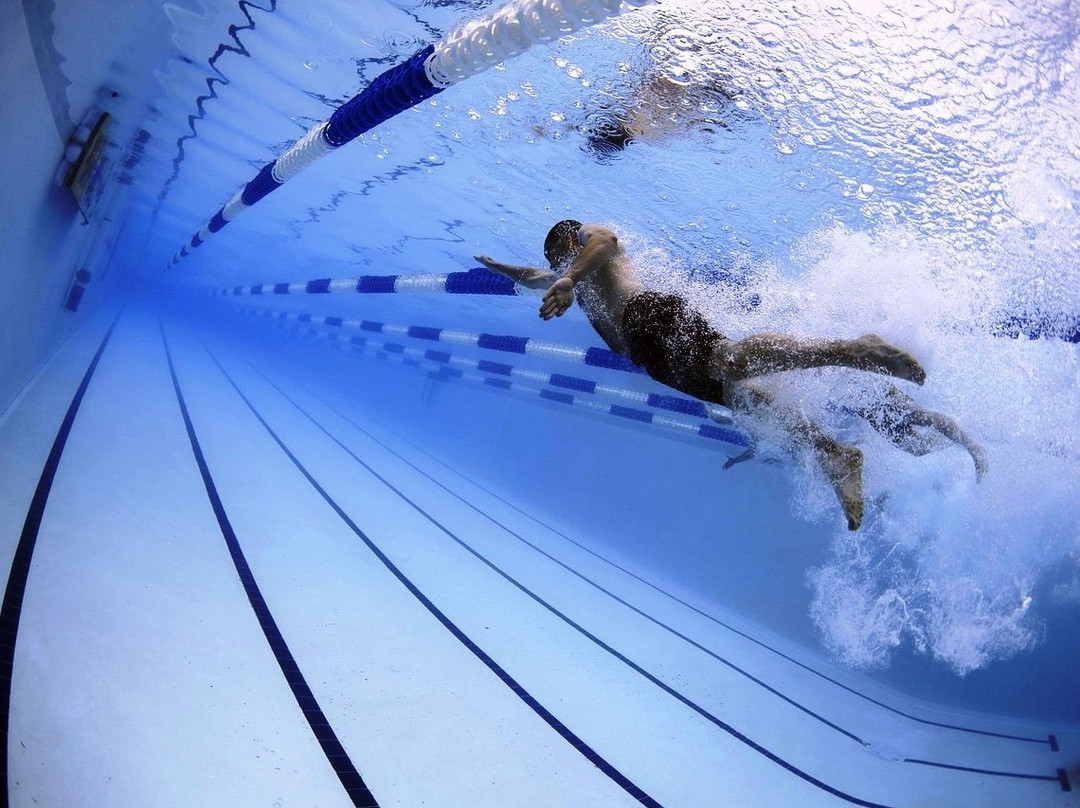 SOGESE S.C.S.D-博洛尼亚必去景点