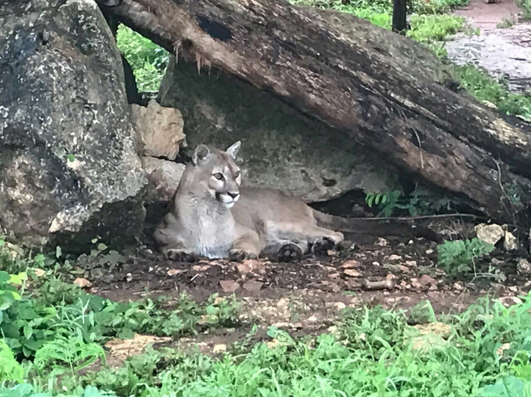 Vallazoo-巴利亚多利德必去景点