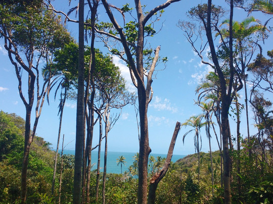 Brazil Trip Tour-Itacare必去景点