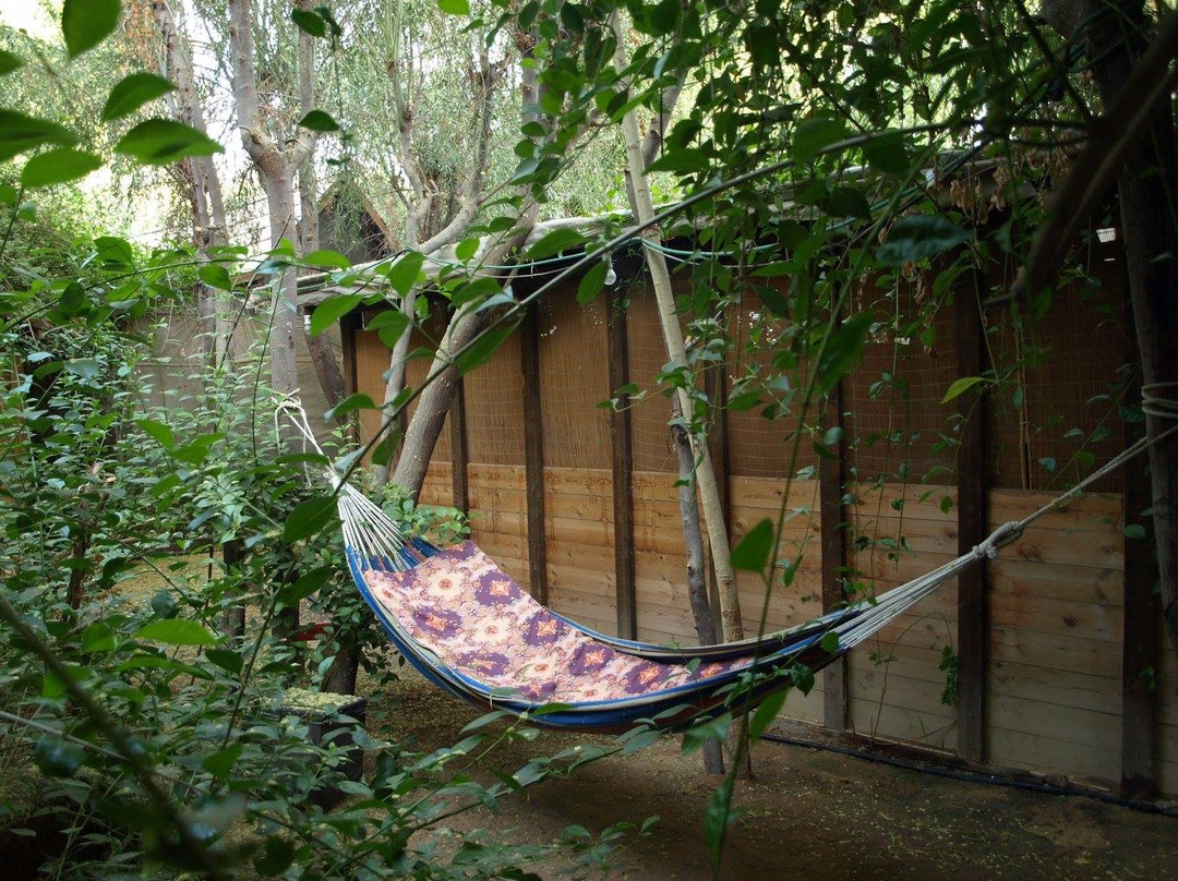 Arava Paradise主图