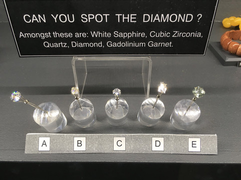 Prins & Prins-开普敦中心区必去景点