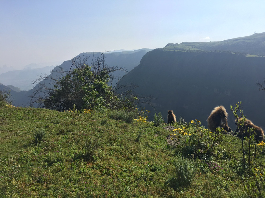 Ethiopia Trek景点图片