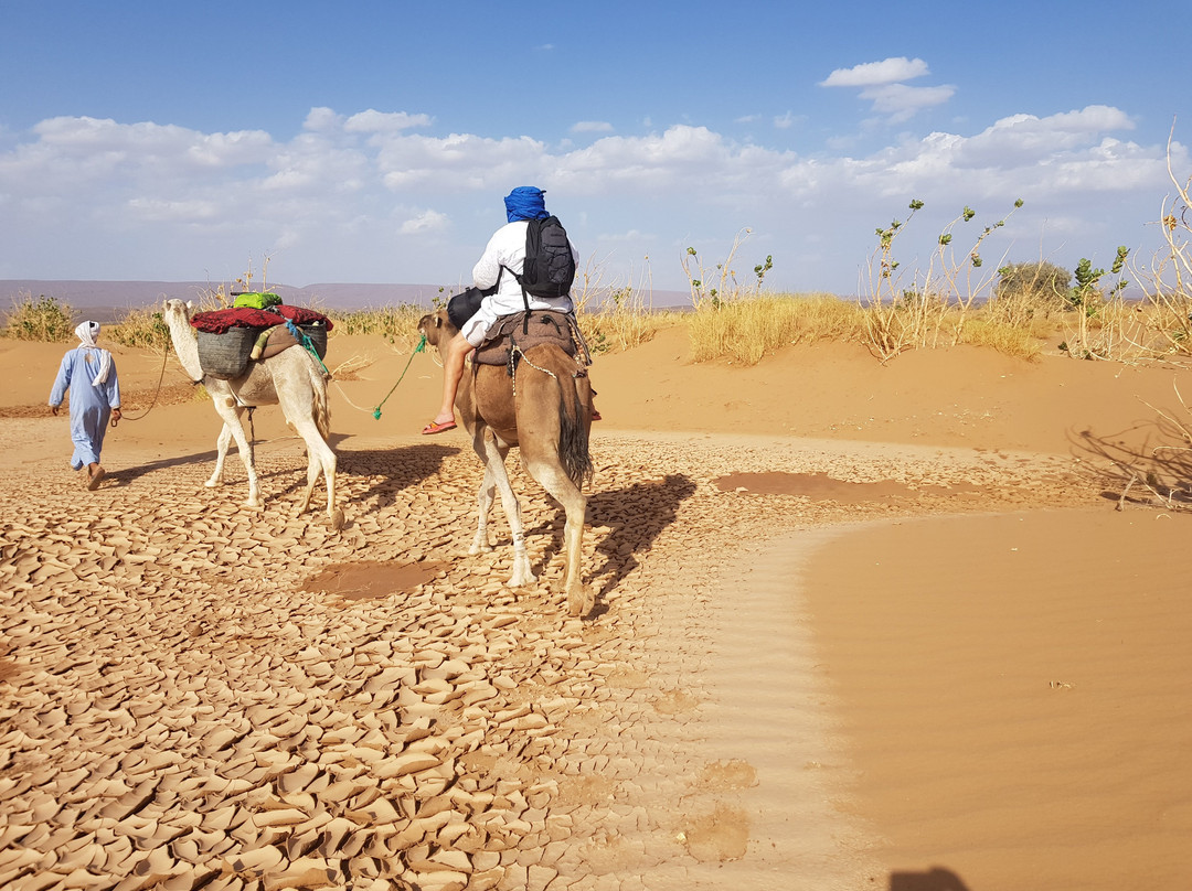 Sahara Feeling-扎古拉必去景点