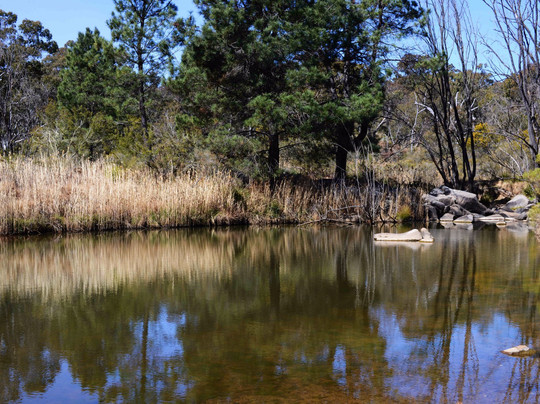 Uralla旅游景点-Wooldridge Receation and Fossicking Area