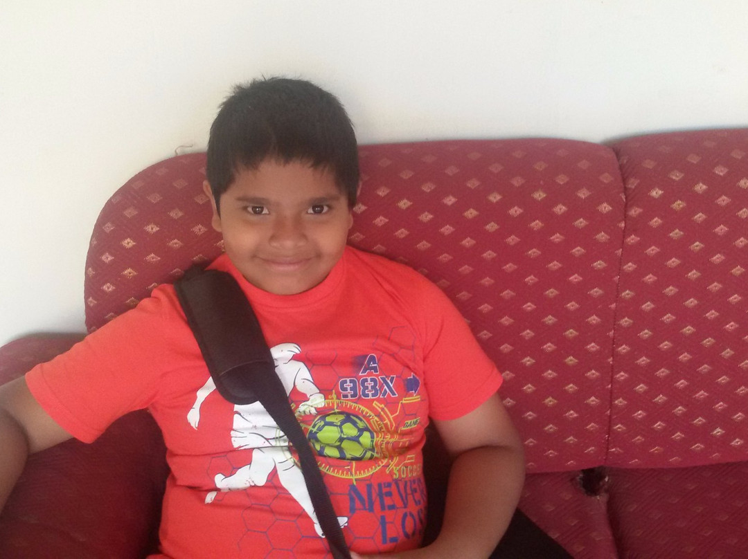 Haritha Hotel Nellore