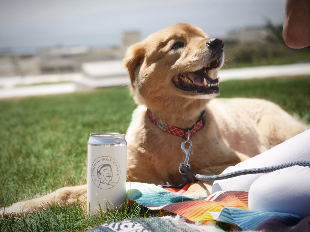 Laughing Monk Brewing-旧金山必去景点