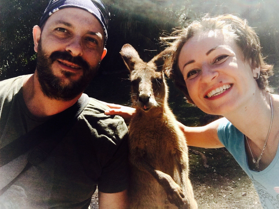 Cooberrie Park Wildlife Sanctuary景点图片