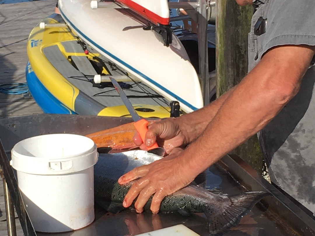 Sunshine Coast Kayaks-吉布森斯必去景点